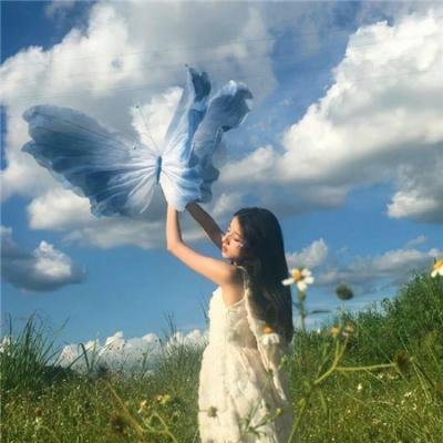 美丽的谎言